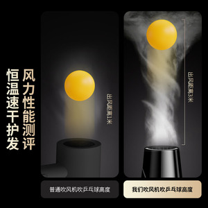 Hair Dryer 2400W Negative Ion Blue Light Protection Salon Grade Low Noise Strong Wind - Product Image 5