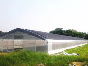 Invernadero de túnel de película PO de alta calidad para verduras/frutas/champiñones - Product Image 6