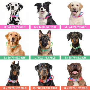 Nuevo <span class=keywords><strong>Collar</strong></span> Táctico para Mascotas con Color Degradado, Nuevo <span class=keywords><strong>Collar</strong></span> de Entrenamiento para Cachorros, <span class=keywords><strong>Collar</strong></span> de Nailon Resistente con Hebilla de Serpiente - Product Image 3