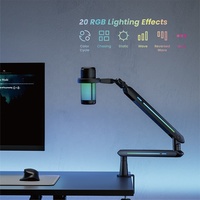 Support de microphone à bras articulé réglable MDS19-2L RGB pour studio, bureau, table, podcasting