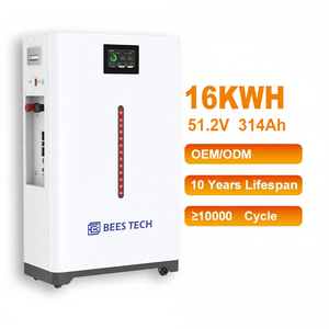 Sistem Penyimpanan Energi Surya 11000 Cycle Life Solar Power Storage Wall 51.2V 314Ah 300Ah 280ah 320ah 15kwh 16kwh Baterai Lifepo4 Penyimpanan Energi Rumah Tangga - Product Image 1