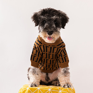 <span class=keywords><strong>Hot</strong></span> Selling Herbst mode Name Branded Custom ized Small Teddy Luxus Haustier Pullover Hunde kleidung Haustier bedarf Designer Hunde kleidung - Product Image 6
