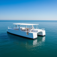 Bateau de tourisme en catamaran à coque ouverte en alliage d'aluminium de 11,56 m pour les zones panoramiques en bord de mer