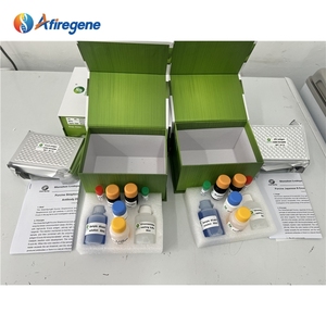 LSY-30019 AfireGene Indirekter <span class=keywords><strong>ELISA</strong></span>-Testkit zur Bestimmung von Schweine-Streptokokken-Suis (<span class=keywords><strong>S</strong></span>.suis) Antikörper im Schweineserum - Product Image 5