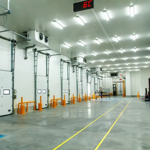 Solutions de Réfrigération Automatique Intelligentes et Personnalisées pour le Traitement des Fruits et Légumes, Moteur, Énergie <span class=keywords><strong>Solaire</strong></span> - Product Image 1