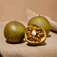 Extrait de Fruit du Moine Biologique 50% Mogroside V en Poudre, Mélange 100% Pur Naturel, Édulcorant de Qualité Alimentaire en Vrac, Bouteille