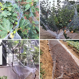 Легкая УФ-стабилизированная сетка из нейлона/ПНД для защиты от птиц, сетка для защиты урожая виноградных угодьях и ягодных фермах - Product Image 4