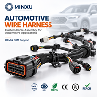 Faisceau de câblage électrique automobile 16-22AWG, assemblage de câbles avec connecteur 2-12 broches, OEM personnalisé pour systèmes de véhicules automobiles