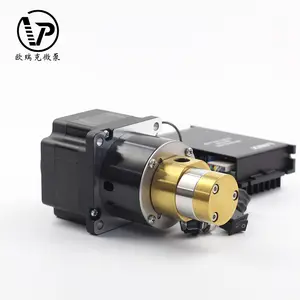 speed gear pump/ 200w dc 24v magnetic drive gear pump for oil transfer pump