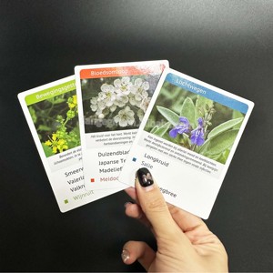Set di Flashcard Personalizzabili con Coperchio e Base Laminati Lucidi per Piante e Fiori, per <span class=keywords><strong>Imparare</strong></span> e Giocare - Product Image 3