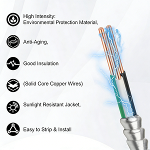 金属被覆MCケーブル（アース付き）6/8/10/12/14 AWG電線、アルミ装甲入り、屋内/屋外/地下埋設用 - Product Image 3