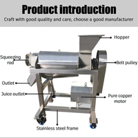 Hochkorrosionsbeständiger Spiralentsafter 80KG Kapazität 220V 2200W Hohe Produktivität Einfaches Reinigungssystem Obstverarbeitungsanlage