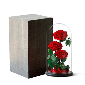 Forever Rose de gran tamaño en cúpula de cristal <span class=keywords><strong>para</strong></span> regalos de cumpleaños perfectos <span class=keywords><strong>para</strong></span> mujeres y regalo del Día DE LA Madre - Product Image 4