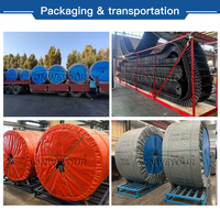 Banda Transportadora de Caucho EP para Minería, Precio de Banda Transportadora de Caucho para Trituradora de Piedra