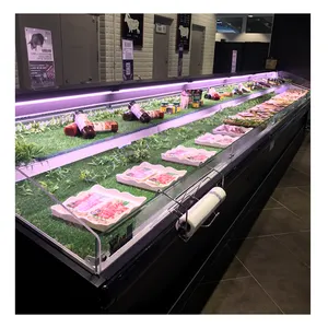 Congélateur réfrigéré d'affichage de viande et de poisson de réfrigérateurs commerciaux de supermarché