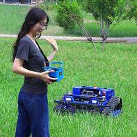 Tondeuse Robot de Pelouse Certifiée CE de Haute Qualité