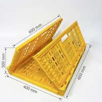 Caisse pliante ventilée en plastique à prix de gros, design creux, pour le rangement quotidien, portable et pliable