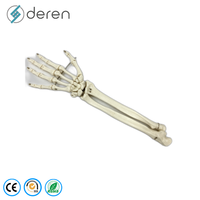 Modèle de squelette du pied en PVC et silicone souple, taille réelle, tibia et fibule, couleur naturelle, pour la recherche médicale