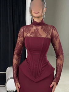 2026 New Style European Lace Patchwork Long-Sleeved A-line Draped Bodycon Fit-and-Flare <b>Dress</b> - Product Image 3