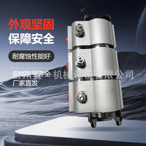 Réducteur de débit synchrone hydraulique Saiyi Machinery SD06 à engrenages pour applications de levage - Product Image 2