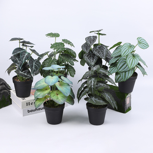 Suministros de Jardín al por Mayor, Plantas Artificiales de Plástico con Tacto <span class=keywords><strong>Real</strong></span>, Césped Artificial Ecológico de Alta Calidad, Hojas Artificiales para Cercas - Product Image 1