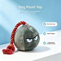 Jouet pour chien en peluche - Balle nouée en forme de bombe avec fonction sonore, résistante aux morsures, pour la dentition et le jeu