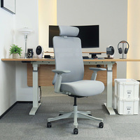 Cadeira De Escritorio Chaises De Bureau En Maille Fauteuil Ergonomique BIFMA Chaises De Direction Pivotantes Silla De Oficina Chaise De Travail Bureaux
