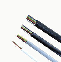 Câble plat à 8 cœurs 30AWG 8P8C RJ45 Câble d'extension téléphonique modulaire