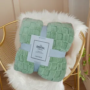 Wholesale Warm Falai Plush Blanket Gift Blanket Solid Color Blanket Spring Autumn Winter Cross Border Blanket