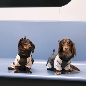 <span class=keywords><strong>Impermeable</strong></span> Personalizado con Capucha para Perros Dachshund, Chaqueta Reflectante para Mascotas de Raza Pequeña - Product Image 5