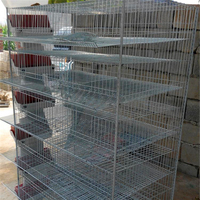 La production de masse et les ventes de haute qualité A et H type couche de caille cage prix le plus bas