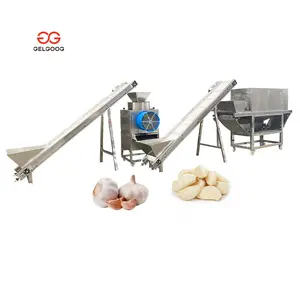 1 tonnellata all'ora completa la linea di produzione di aglio sbucciato pelapatate di chiodi di garofano freschi