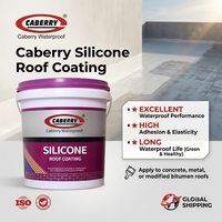 Vente en gros de peinture imperméable CABERRY, revêtement en silicone pour béton, revêtement de toiture