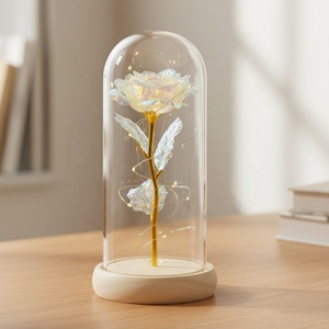 <span class=keywords><strong>2026</strong></span> Altın Varaklı Galaksi Gülü Camdan Yaratıcı Düğün Doğum Günü Hediye Kutusu LED Lamba Dekoratif Çiçek - Product Image 2
