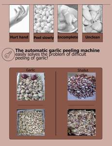 Chuyên nghiệp plc-điều khiển điện tự động công nghiệp tỏi & hành tây Máy lột với công suất lớn - Product Image 4