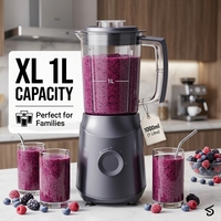 Hoge-capaciteit keukenmixer 1L, 3-in-1 fruitpers en blender voor hotels & catering