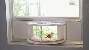 Window Bird Feeder In-House 180 Degree Clear View Factory Wholesale