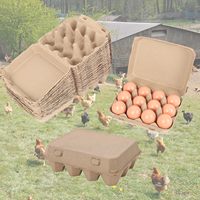 Vente en gros de boîte à 12 oeufs avec design de logo imprimé carton d'oeufs en papier avec logo personnalisé conteneur d'emballage d'oeufs boîte à oeufs