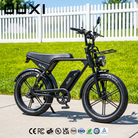 Vélo électrique OUXI V8 Pro 24 pouces 48V 250W certifié EN 15194 25 km/h Marque privée européenne Couleur personnalisée Support complet