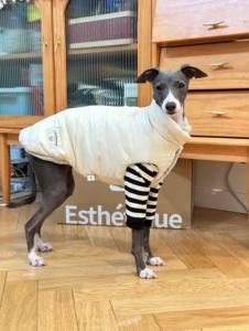 ग्रेहाउंड सभी मौसमों मोटी डबल परत वाली कपास बनियान गर्म मजबूत कपड़े - Product Image 2