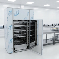 Équipement de séchage sous vide, four à circulation d'air chaud, sécheuse à plateaux, armoire de séchage industrielle pour la transformation alimentaire, automatique 380V