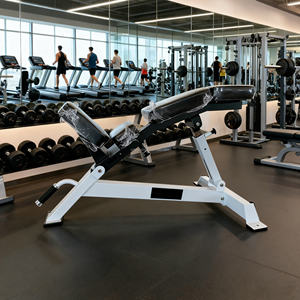 <span class=keywords><strong>Banc</strong></span> réglable robuste avec soutien lombaire pour la presse à épaules et l'entraînement de la poitrine - Product Image 4