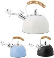 Bouilloire pour cuisinière à gaz, bouilloire à eau en acier inoxydable, bouilloire à café, théière, bouilloire à eau chaude pour cuisinière, sifflet