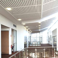Plaque de plafond en maille d'aluminium perforée pour façades de bâtiments et barrières acoustiques avec services de découpe, pliage et poinçonnage