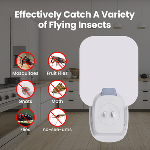 Shingel trong nhà UV LED Côn Trùng Keo Bẫy Fly Catcher tường Pest Repellent Moth Killer cắm trong điện Fly dính bẫy - Product Image 4