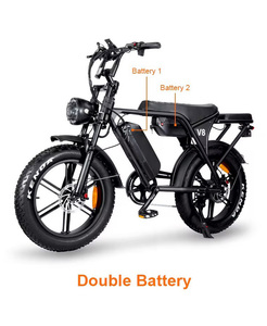 Ruihe V8 20 pulgadas Fat Tire bicicleta eléctrica 48V Fatbike con motor de cubo trasero y potencia de freno de disco por batería de litio bicicleta de montaña - Product Image 4