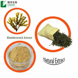 공장 직접 공급 방광 추출물 분말 Fucus Vesiculosus 추출물 프리미엄 식물 추출물 - Product Image 3