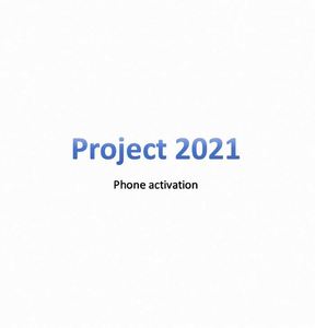Versión Pro de Activación Telefónica para el Software Project Professional 2016/2019/2021/2024, Envío Garantizado en Línea - Product Image 3