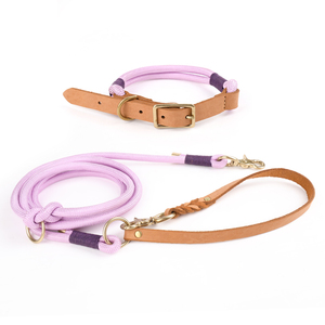 Laisse en cuir végétalien réglable pour chien, collier de luxe, 2024 pour petits, moyens et grands chiens - Product Image 2