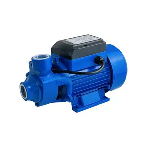 QB60 QB70 Models 1/2hp Bomba De Agua Wholesale Peripheral Electric Surface Vortex Clean Water Pump Pompe A Eau For Home